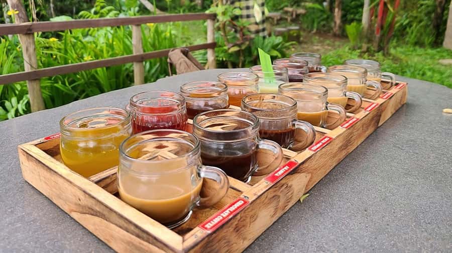 Bali: Ubud Day Tour with Swing and Zipline - Price and Value: What $30 Covers, and What Costs Extra