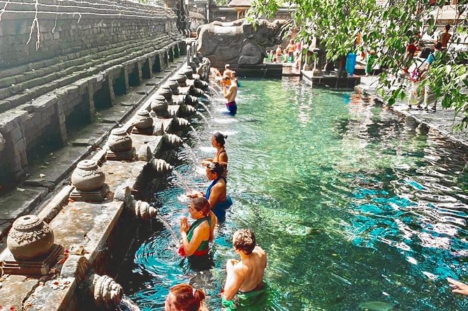 Bali: Ubud Highlights Tour with Private Guide and Transfers - A Private Ubud Day for $35: What You’re Really Buying