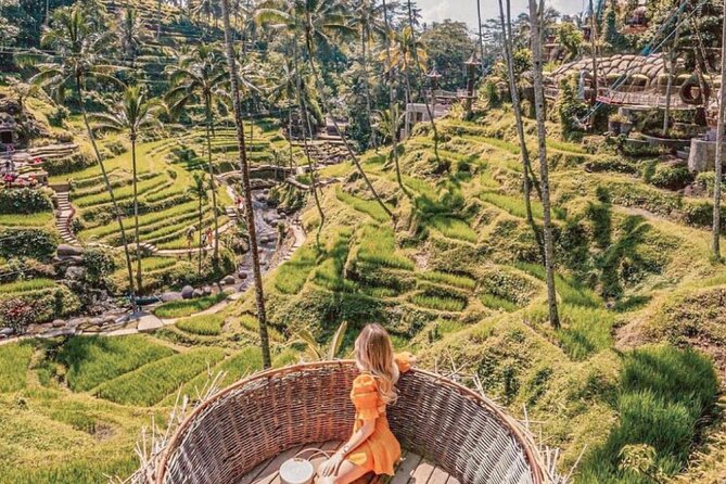 Bali: Ubud Highlights Tour with Private Guide and Transfers - Tegalalang Rice Terrace: The Viewpoint Stop You’ll Actually Remember
