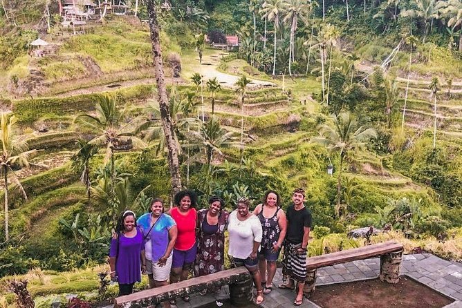 Bali: Ubud Highlights Tour with Private Guide and Transfers - Terrace River Pool Swing: The Photo Stop That Costs Extra