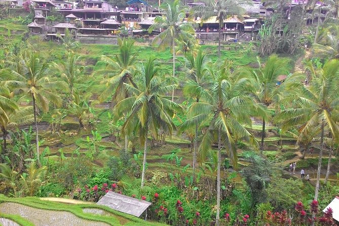 Bali Ubud & Kintamani Volcano Tour -All Inclusive - Pura Puseh Desa Batuan: a calmer temple stop with real carving work