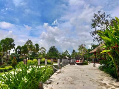 Bali: Ubud, Monkey Forest, Ancient Temple, Waterfalls - Sangeh Monkey Forest: temples and close-up wildlife time