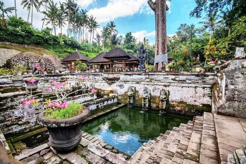 Bali: Ubud, Monkey Forest, Ancient Temple, Waterfalls - Swing Heaven: giant swing views and the access cost question