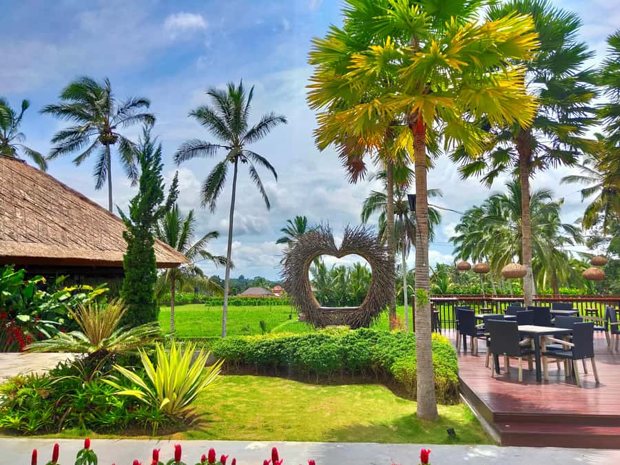 Bali: Ubud, Monkey Forest, Ancient Temple, Waterfalls - Suwat Waterfall: photo stop value and muddy-footwear reality
