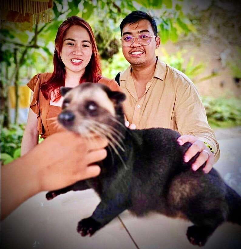 Bali: Ubud Monkey Forest, Coffee Plantation, and Market Tour - A few practical tips before you go