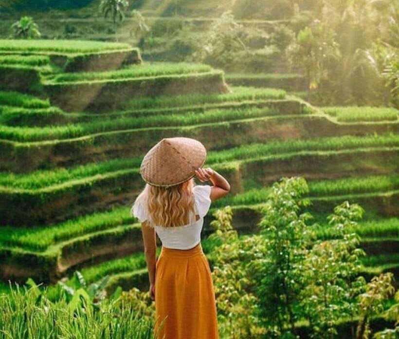 Bali: Ubud Monkey Forest, Waterfall, and Rice Terrace Tour - Price and value: what $25 covers, and what it doesn’t