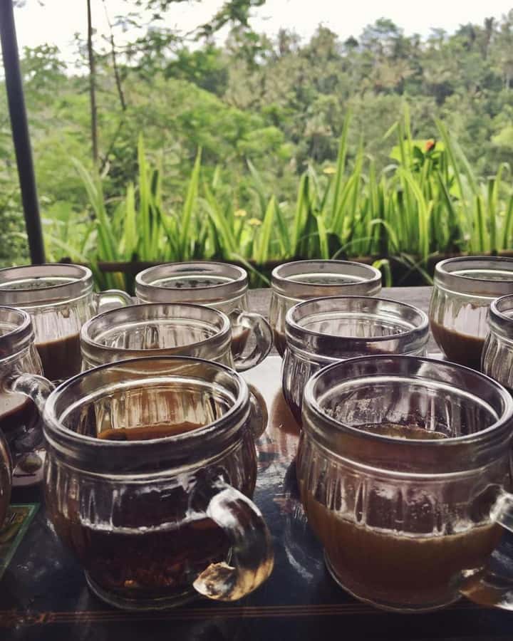 Bali ubud : monkey forest, waterfall , temple - A 10-Hour Ubud Day Built Around Monkeys, Rice, Water, and Temples