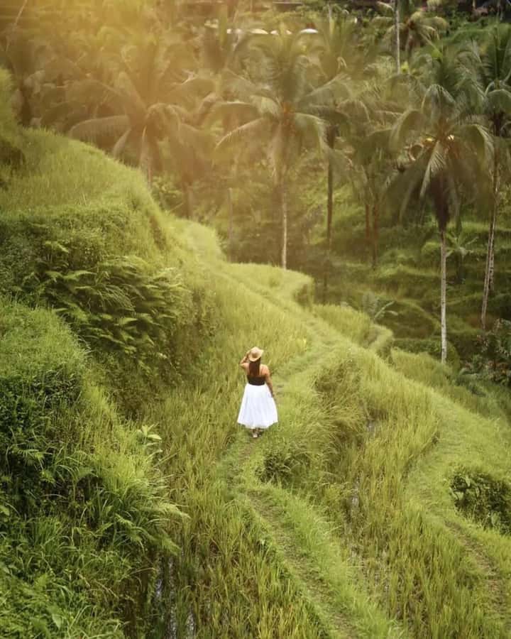 Bali ubud : monkey forest, waterfall , temple - Price and Timing: Where the Value Really Comes From