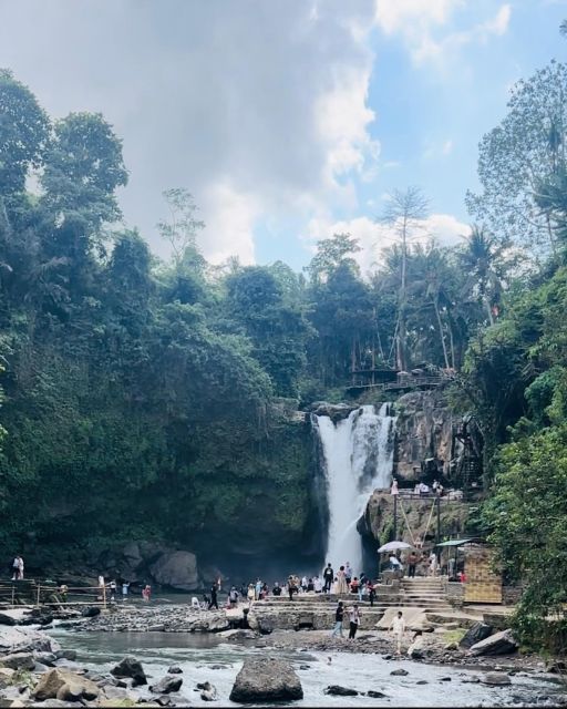 Bali ubud : monkey forest, waterfall , temple - Who This Tour Fits Best (and Who Should Skip It)