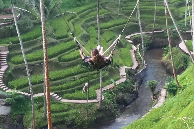 Bali Ubud Private Costomized Tour - Explore Bali your way - Tegenungan Waterfall: Nature Break With a Chance to Swim