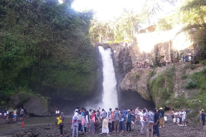 Bali Ubud Private Costomized Tour - Explore Bali your way - Ubud Art and Shopping Time: Practical Browsing Without Overcommitting