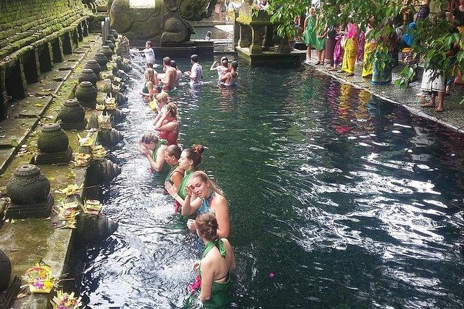 Bali Ubud Private Costomized Tour - Explore Bali your way - Sacred Monkey Forest Sanctuary: Temples, Trails, and Conservation Context