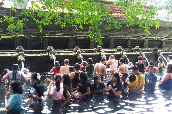 Bali Ubud Private Costomized Tour - Explore Bali your way - Price and Value: What $30 Per Person Really Covers