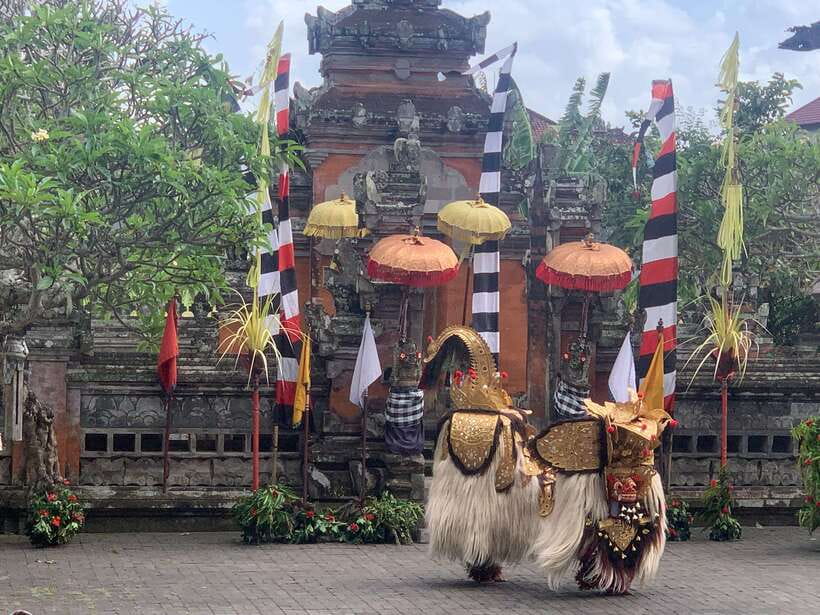Bali Ubud : Private Full/ Half Day Tour, Optional Activities - Key takeaways before you book