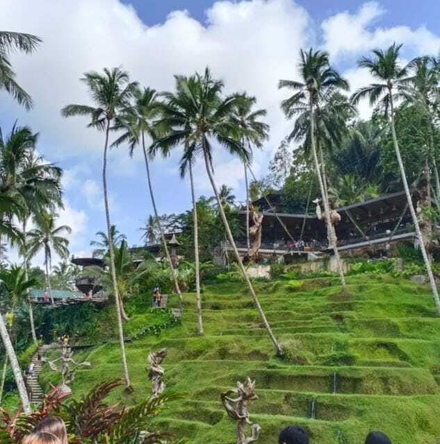 Bali Ubud : Private Full/ Half Day Tour, Optional Activities - Waterfalls like Tegenungan and Tibumana: choose based on comfort