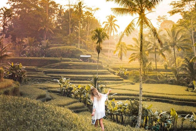 Bali Ubud private Tour with Ubud Bali Driver - FREE WIFI - A Private Ubud Day That Actually Feels Personal