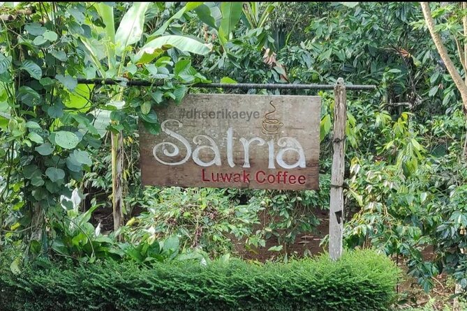 Bali Ubud private Tour with Ubud Bali Driver - FREE WIFI - Puseh Batuan Temple: Balinese Arts and Village-Temple Energy