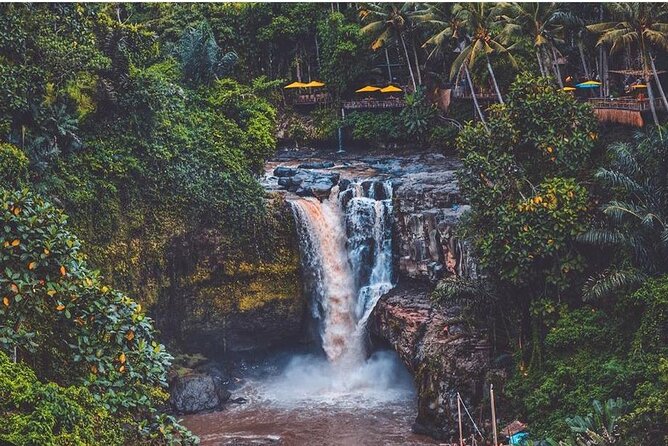 Bali Ubud private Tour with Ubud Bali Driver - FREE WIFI - Tegenungan Waterfall: A Nature Break With Real-Time Timing