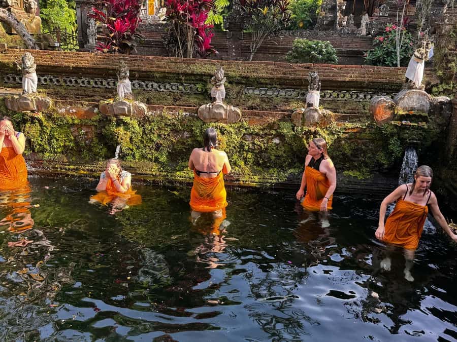 Bali: Ubud Spiritual Cleansing and Meditation Healing Tour - Price and value: why $55 can make sense for what’s included