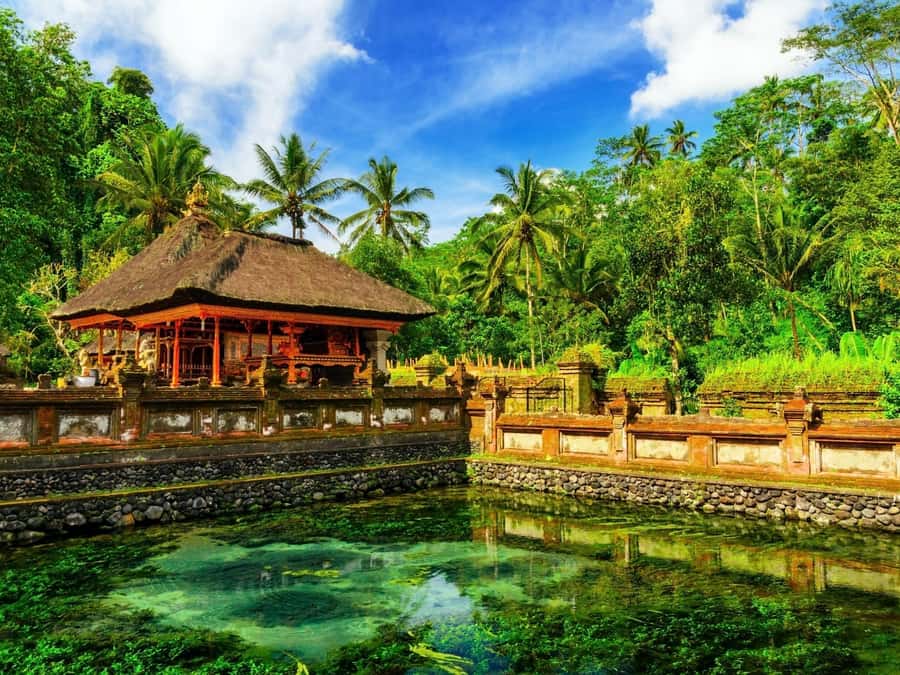 Bali: Ubud Spiritual Journey with purification ceremony. - Bedulu and Goa Gajah: sacred stone, not just selfies