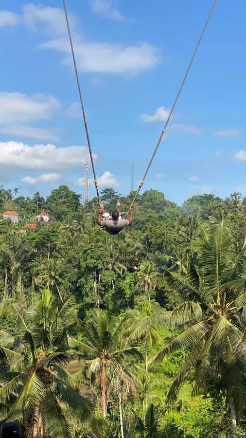 Bali: Ubud Swing Experience with Jungle View - Price and Value: How $22 Really Works on This Day