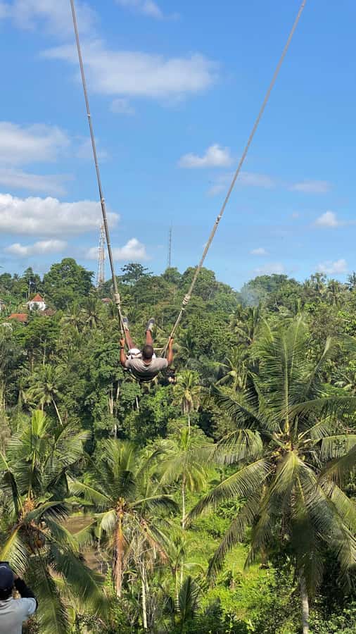 Bali: Ubud Swing Experience with Jungle View - Transport and Timing: An 8-Hour Block That Actually Makes Sense