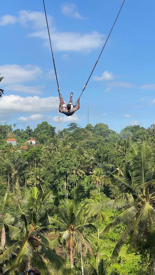 Bali: Ubud Swing Experience with Jungle View - Safety and Comfort: Who Should Skip It