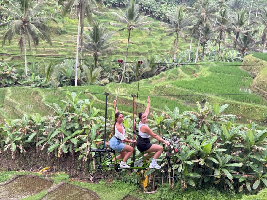Bali: Ubud Swing, Zipline, SkyBike in a Private Rice Terrace - Dream Catcher Swing and the other swing options