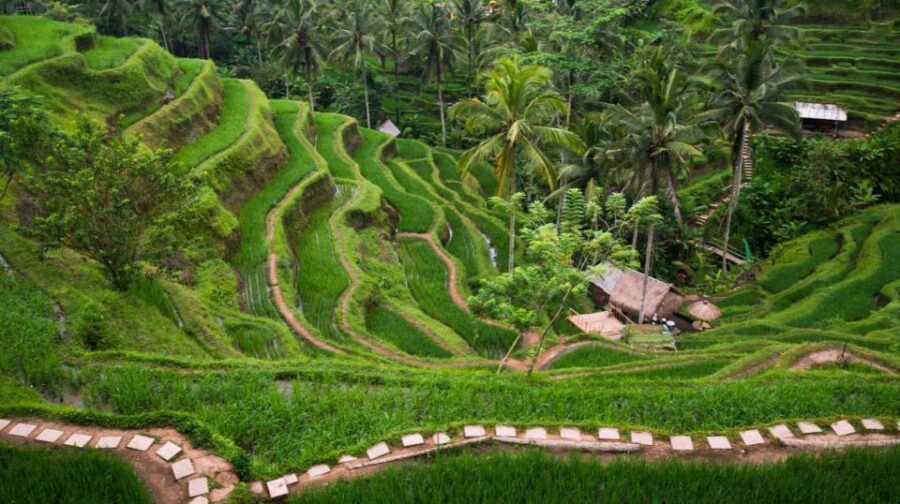 Bali: Ubud, Tegalalang, and Tanah Lot Temple Day Trip - Entrance tickets: included only if you choose that option