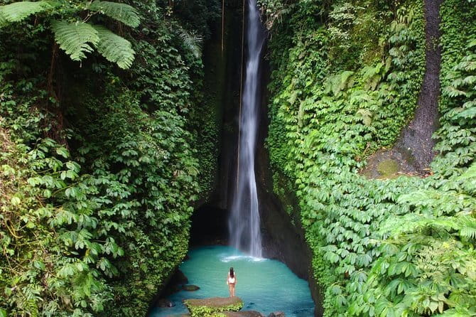 Bali: Ubud (Temple, Spring, Rice Terraces, & Waterfall) - Uma Pakel Agro Tourism: plantation tour and coffee tastings