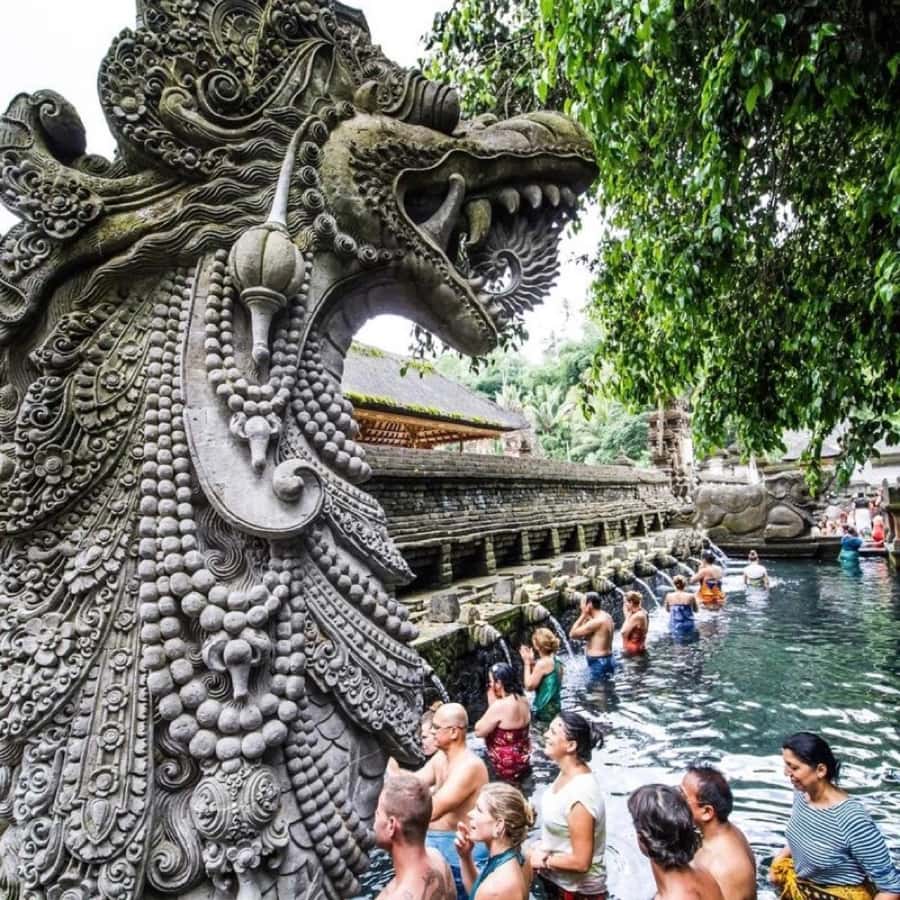 Bali Ubud Tour Best of Ubud Higlight with private Transfers - Key highlights you should care about