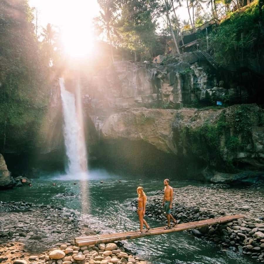 Bali Ubud Tour Best of Ubud Higlight with private Transfers - Sacred Monkey Forest Sanctuary: 900 long-tail macaques and how to behave