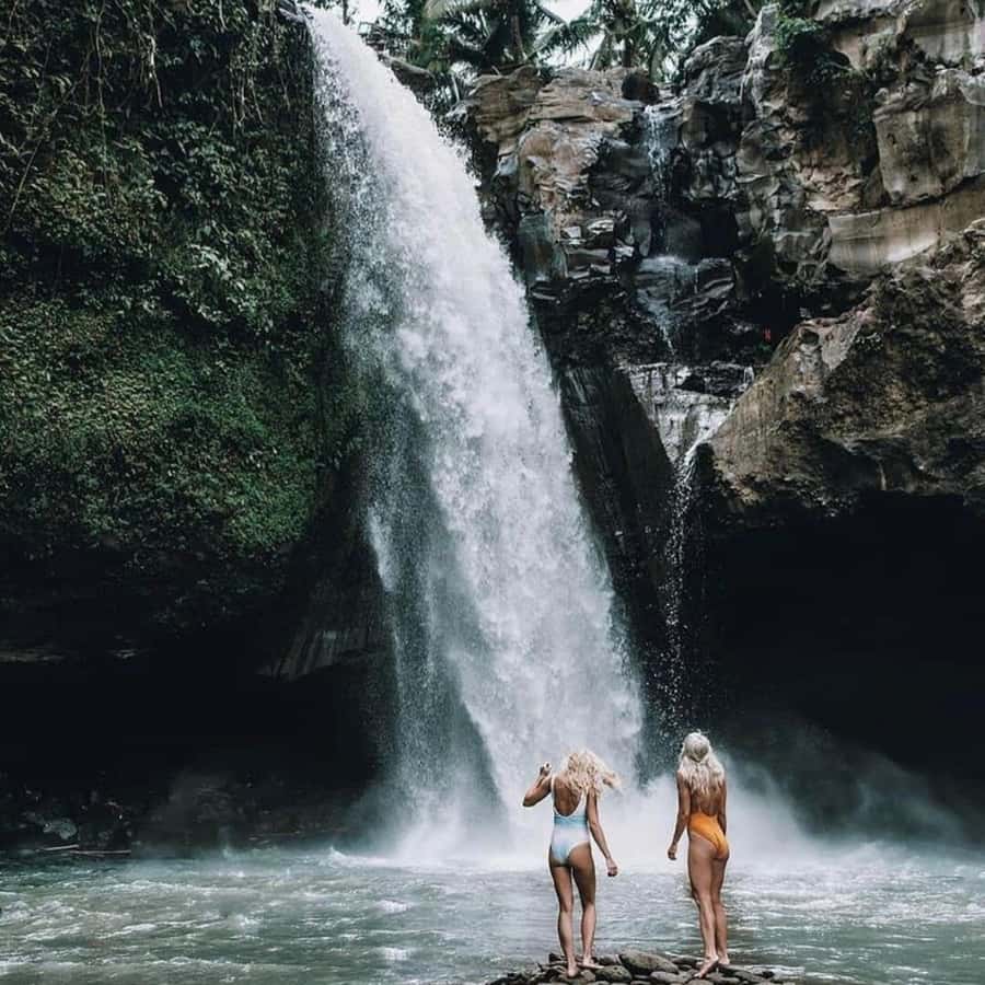 Bali Ubud Tour Best of Ubud Higlight with private Transfers - Coffee tasting and Ubud lunch: a midday reset that keeps the day moving