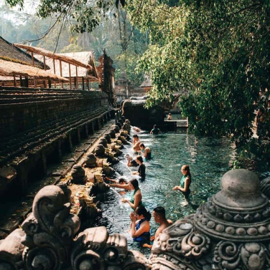 Bali Ubud Tour Best of Ubud Higlight with private Transfers - Tegenungan Waterfall: a classic 15-meter stop with good photo angles