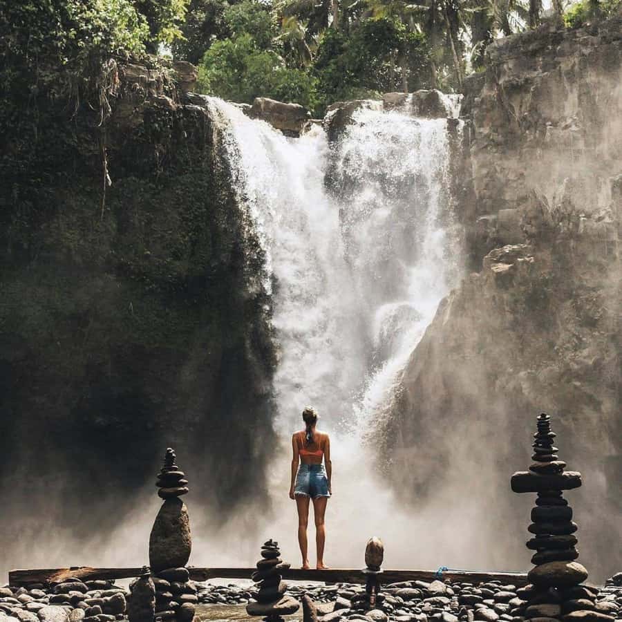 Bali Ubud Tour Best of Ubud Higlight with private Transfers - Price and value for a 9-hour private Ubud loop