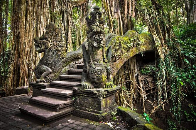Bali Ubud Tour: Monkey Forest, Waterfall & Rice Terrace - The Value: Why $79 Feels Fair for an All-In Ubud Day