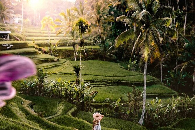 Bali Ubud Tour: Monkey Forest, Waterfall & Rice Terrace - Monkey Forest Sanctuary: A Short Visit That Sets the Tone