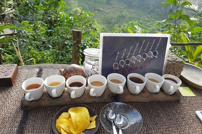 Bali Ubud Tour: Monkey Forest, Waterfall & Rice Terrace - Tegalalang Rice Terrace: The Ubud Postcard You’ll Actually Understand