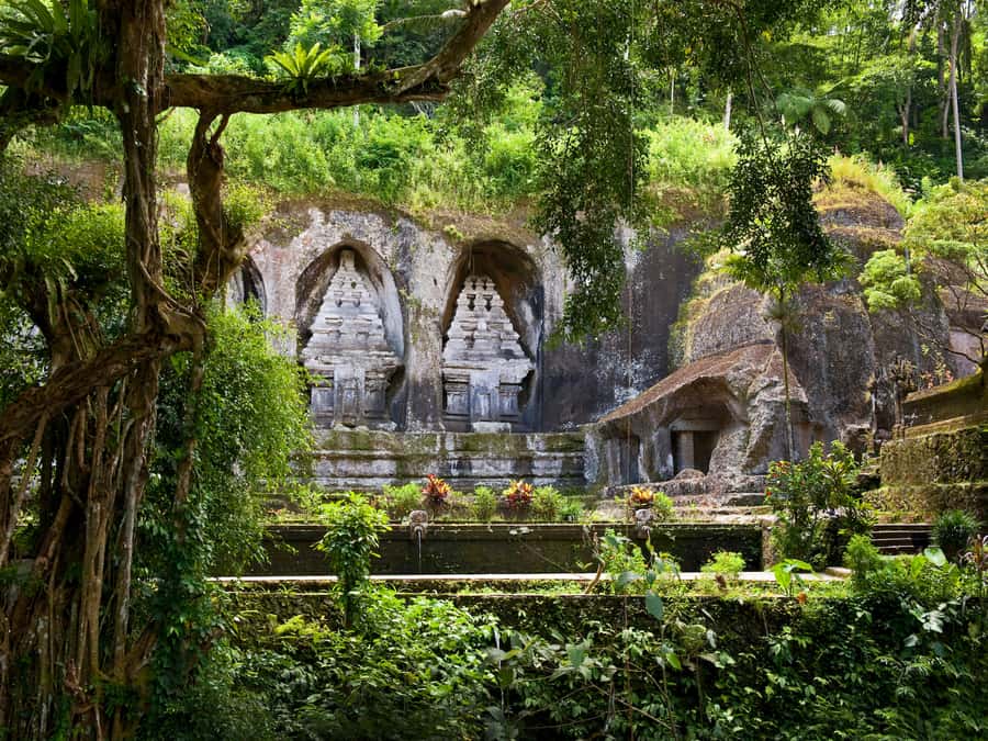 Bali: Ubud Traditional Balinese Purification - Practical Tips That Make or Break the Day