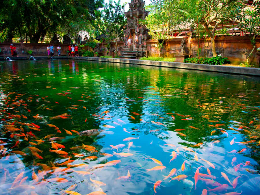Bali: Ubud Traditional Balinese Purification - Timing, Pacing, and What the Route Feels Like