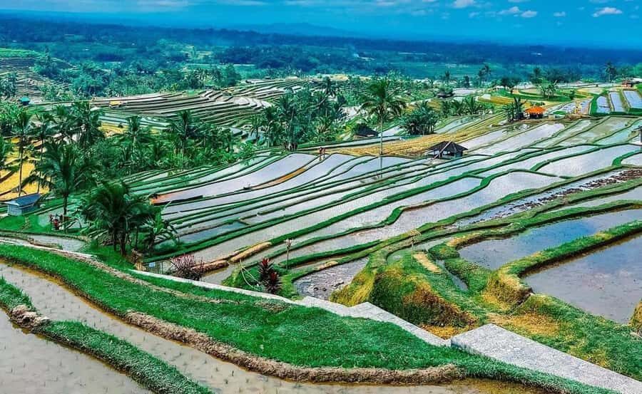 Bali : Ulun Danu Beratan Temple and UNESCO Rice Terrace Tour - Ulun Danu Beratan Temple: Lake Views and Floating-Temple Magic