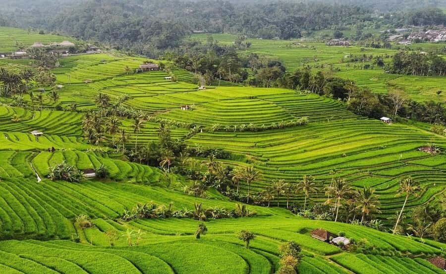 Bali : Ulun Danu Beratan Temple and UNESCO Rice Terrace Tour - Leke-Leke Waterfall: A Quiet Forest Reset