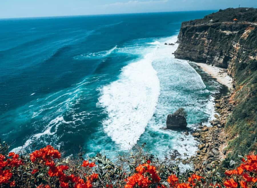 Bali: Uluwatu Temple Tour with Optional Kecak Dance Ticket - The monkey reality: how to not lose your phone at Uluwatu