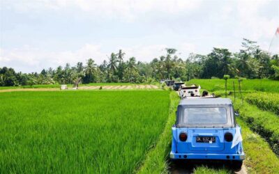 Bali: Vintage VW Jeep Countryside Safari - Pickup Zones and the 7:00 AM Start