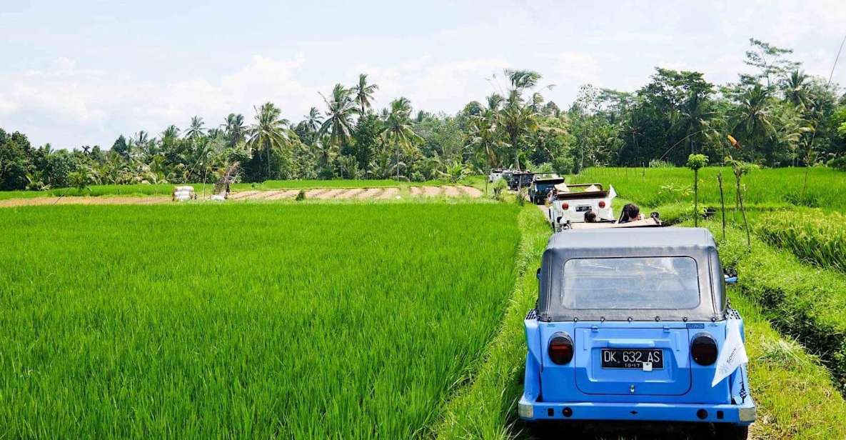 Bali: Vintage VW Jeep Countryside Safari - Driver vs Guide: A Small Reality Check
