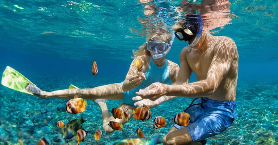Bali: Watching Dolphin, Swimming & Snorkeling Tour - Group Size and Private Options: What You Might Prefer