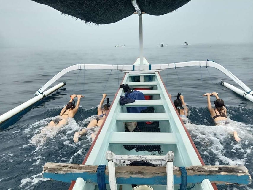 Bali: Watching Dolphin, Swimming & Snorkeling Tour - Time on the Clock: 4 to 7 Hours (and Why That Range Happens)