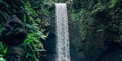 Bali: Waterfall and Rice Terrace Private Day Trip - Private Transport, Real Hotel Pickup, and a Calm Day Rhythm