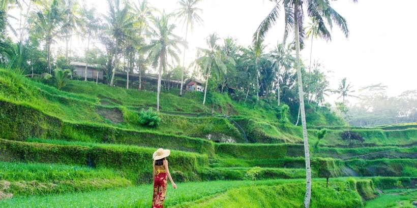 Bali: Waterfall and Rice Terrace Private Day Trip - Stop 3: Kanto Lampo Waterfall and Its Shallow Natural Pool