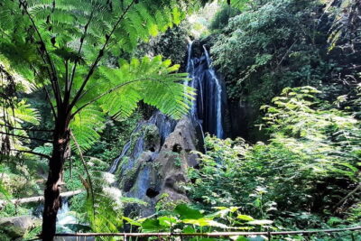 Bali Waterfall in One Day Tours, Hidden Waterfall - All Inclusive - What You Really Get for $65: Private Transport and Tickets